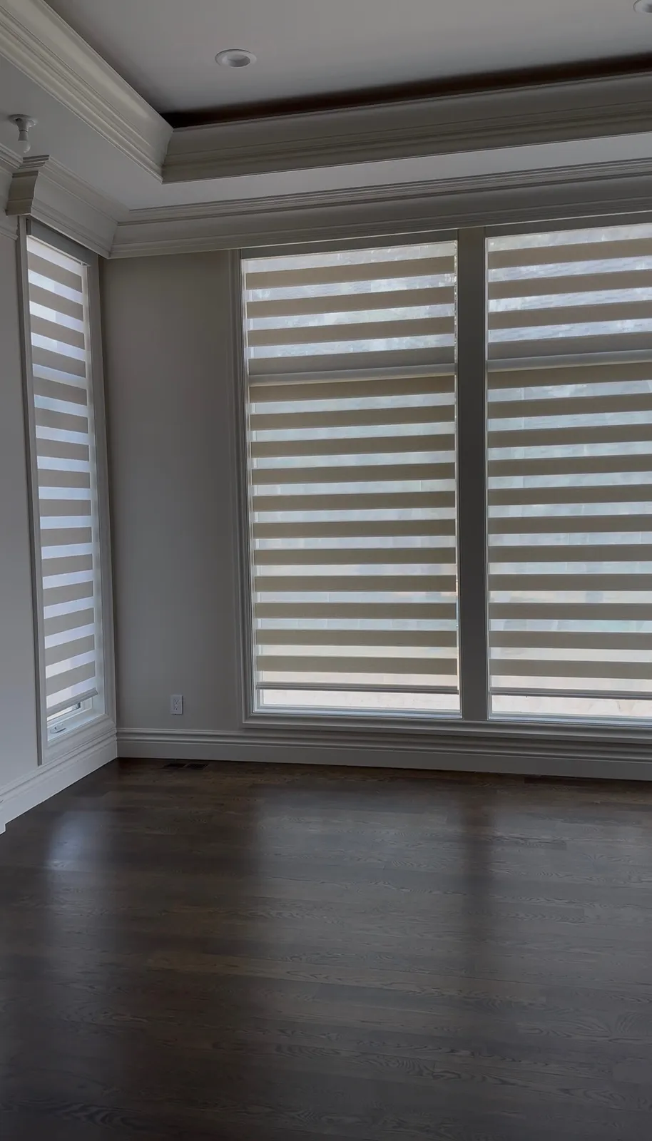 Zebra Shades installed, Living Room, Bedroom